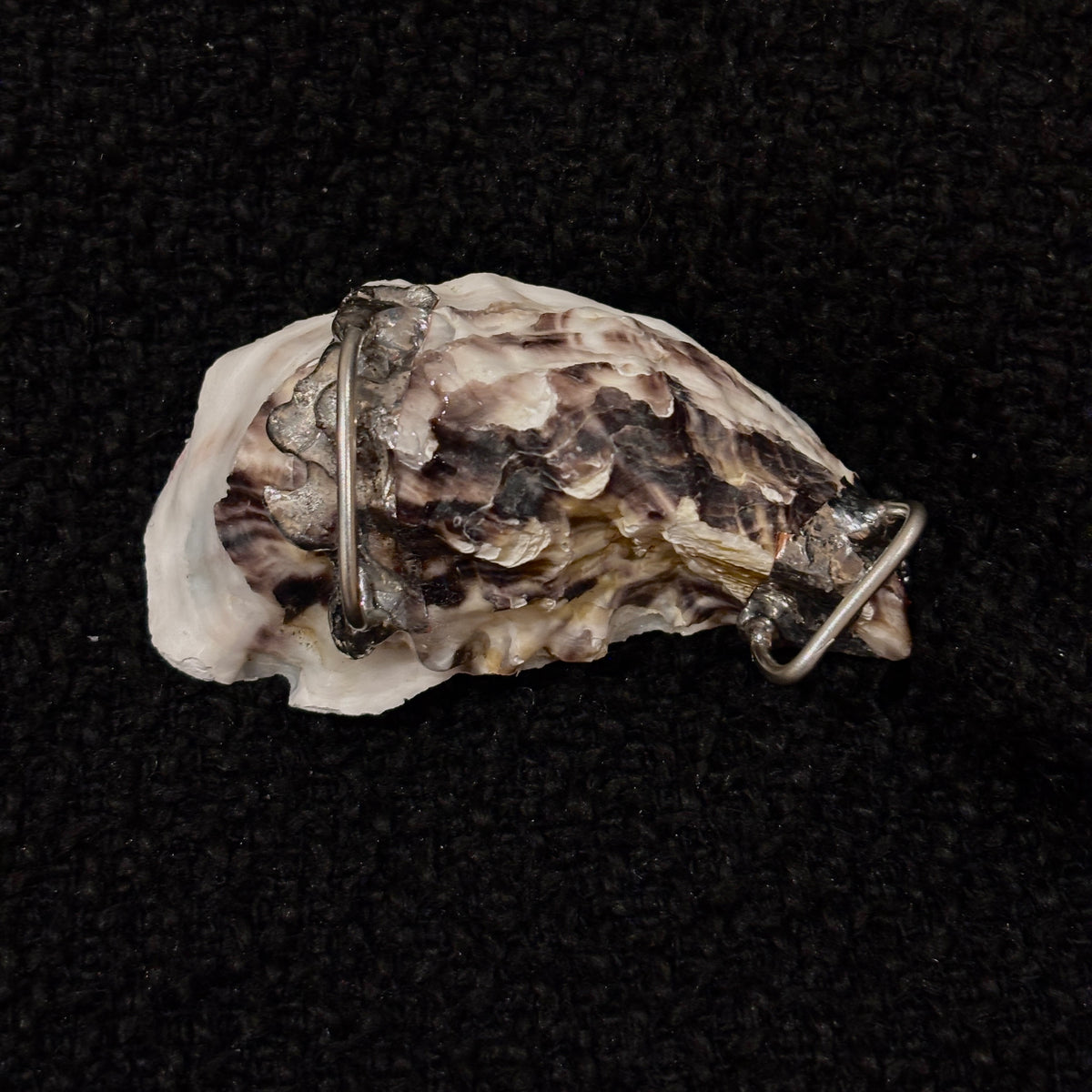 Back of a Lilith Scarlet Wound shell-eye piece showing its brooch pin and metal attachment loop.