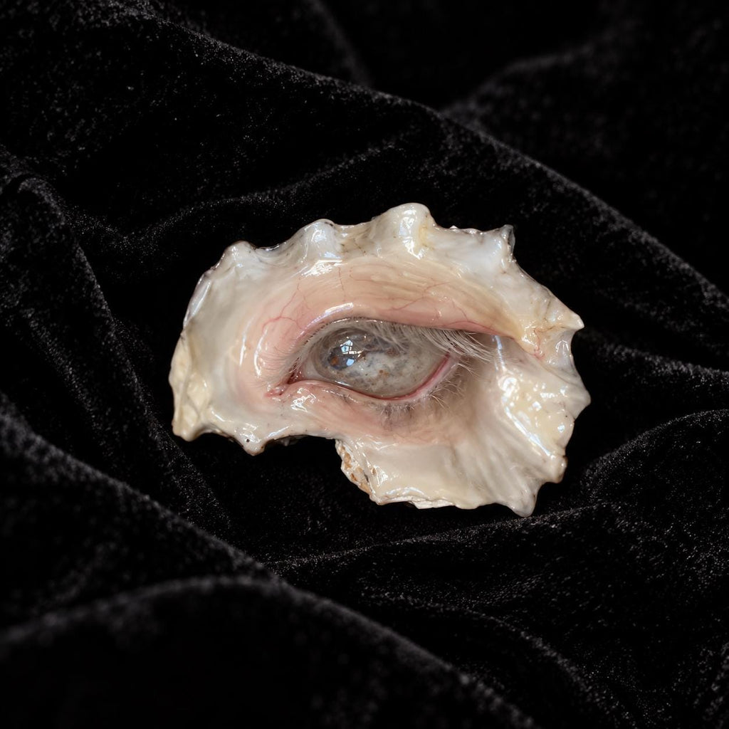 Morrow Eye oyster-eye piece with pale lashes and pink eyelids resting on black velvet.
