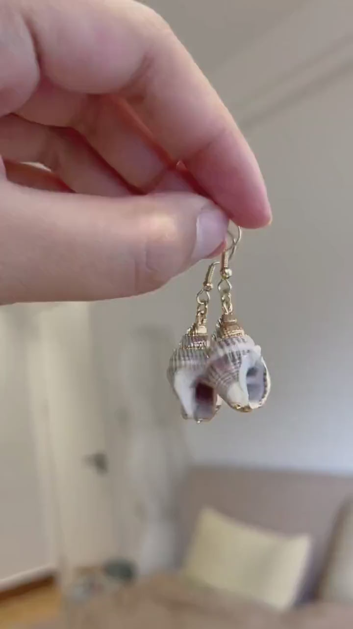 Natural Conch Shell Drop Earrings — product video