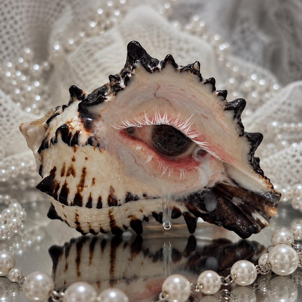 Front of the Mourning Tide pink-eye spiked shell candle holder reflected in a mirror.
