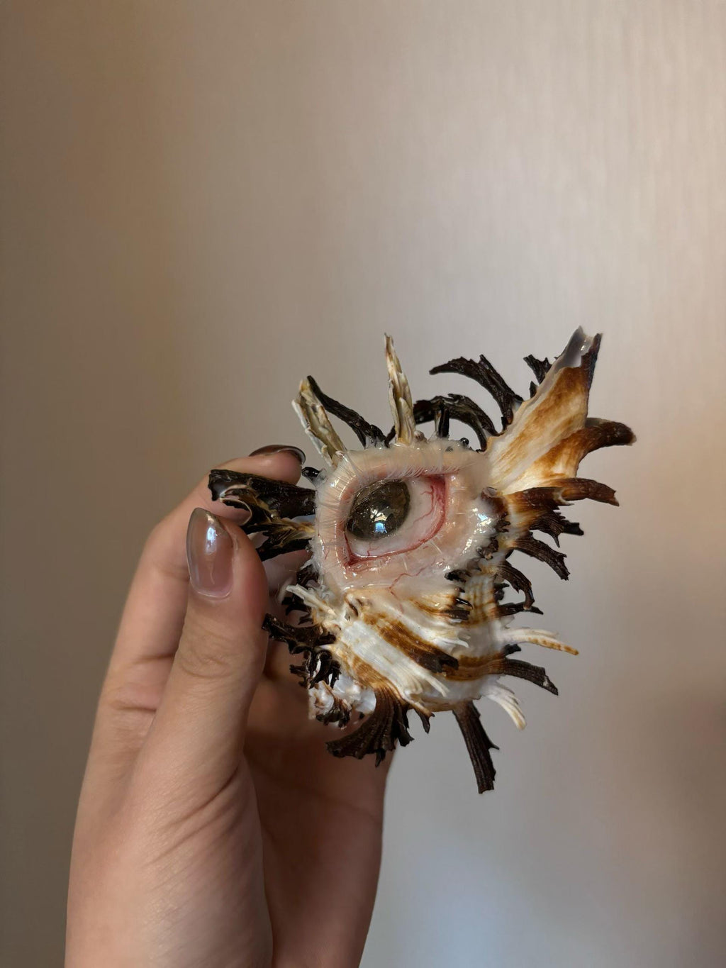 Spiked shell-eye sculpture with dark branching points held against a light wall.