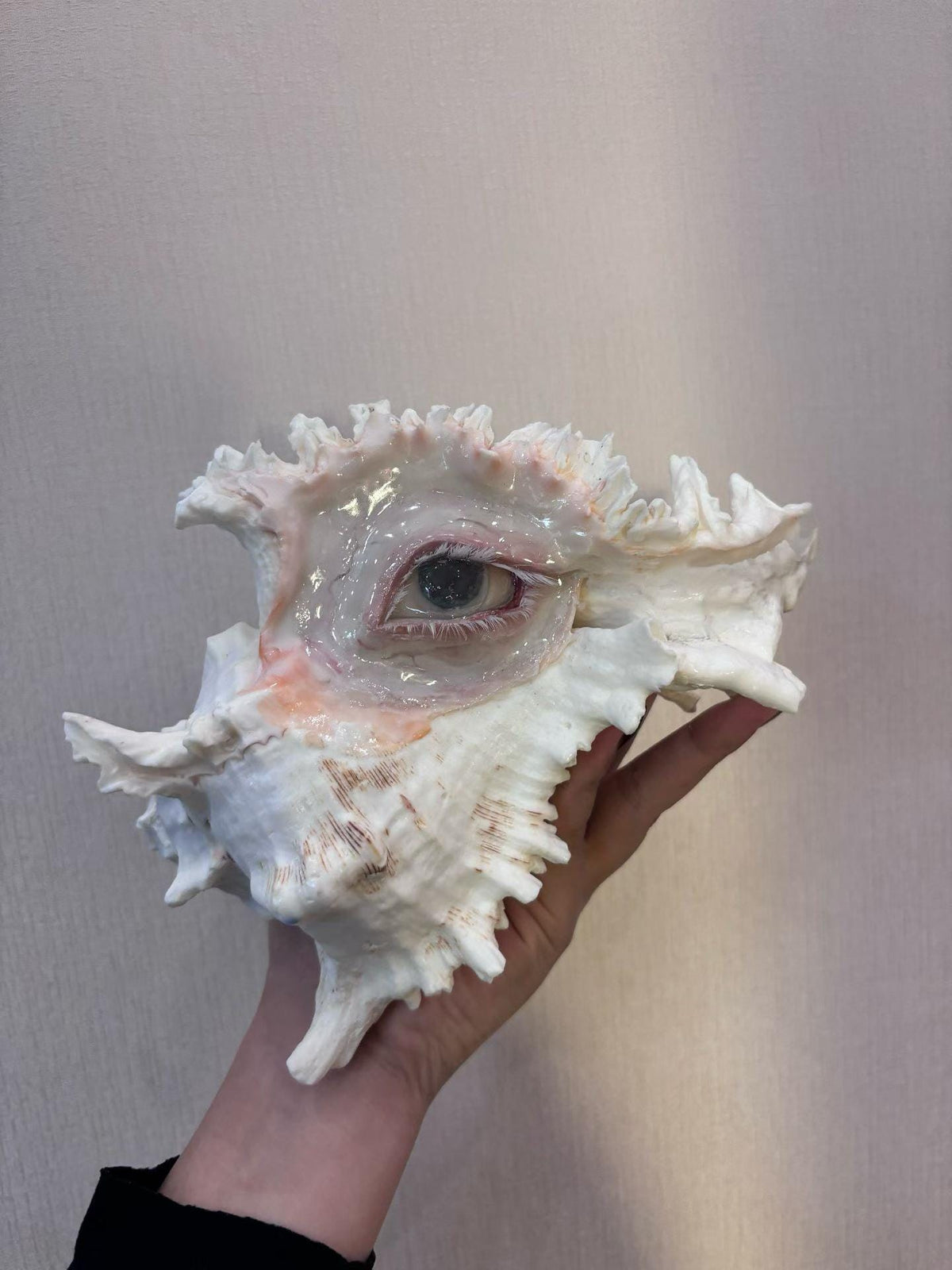 Pale shell-eye sculpture with long shell spikes shown across a hand.