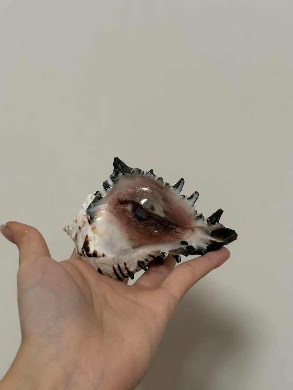Angled view of a spiked shell-eye sculpture resting across a palm.