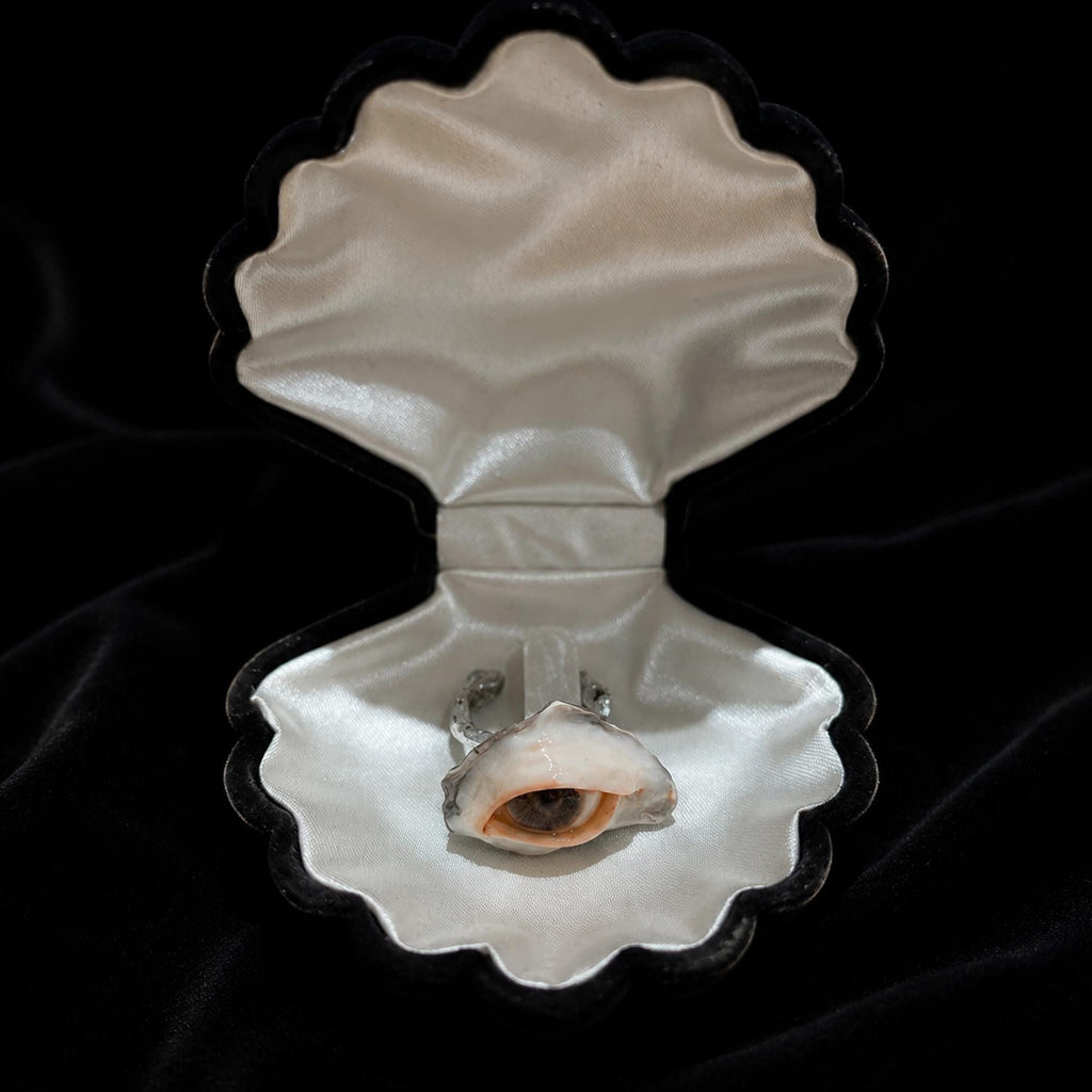 Brown-pupil oyster-eye ring displayed inside an open shell-shaped presentation case.