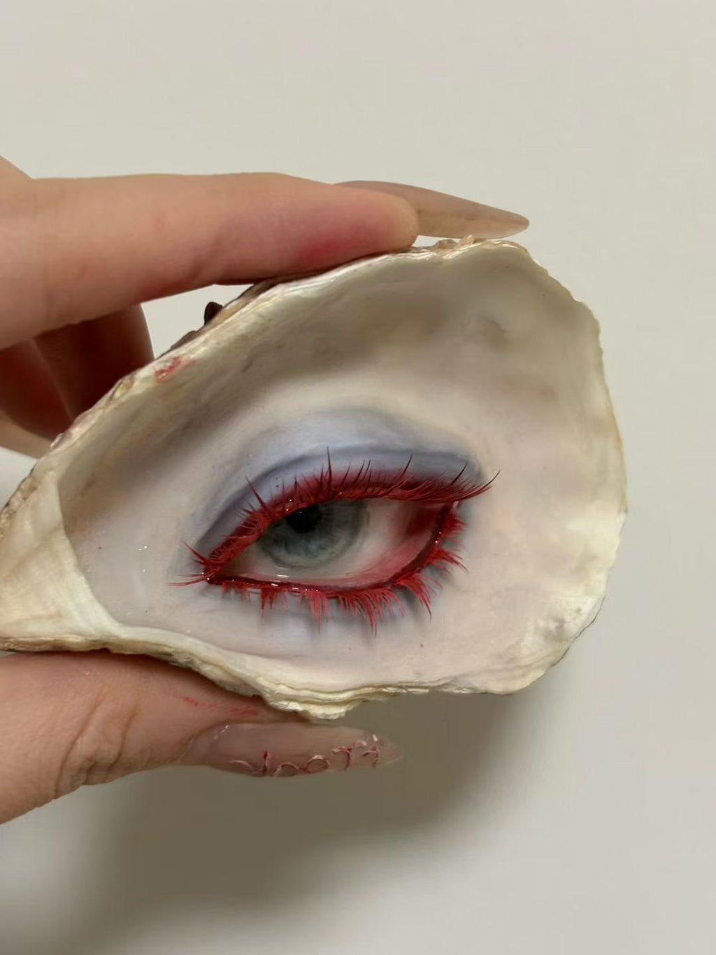 Front hand-held view of Red-Lash Oyster Eye against a light wall.